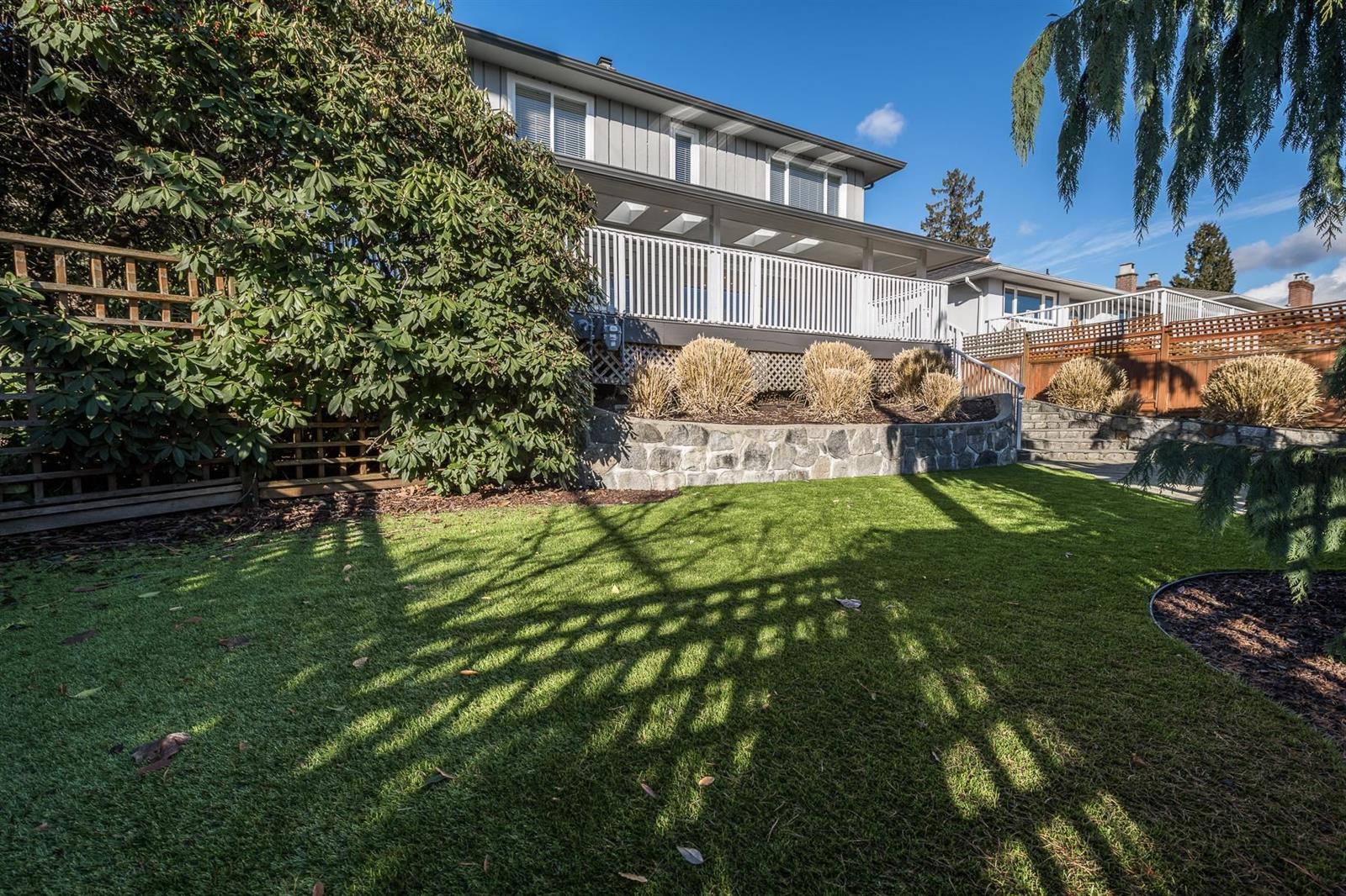 The rear garden, a cedar standing at the corner of the lawn.