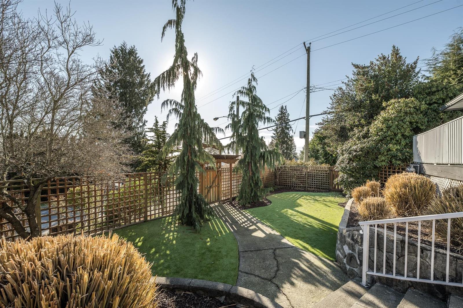 The garden inside the fence.