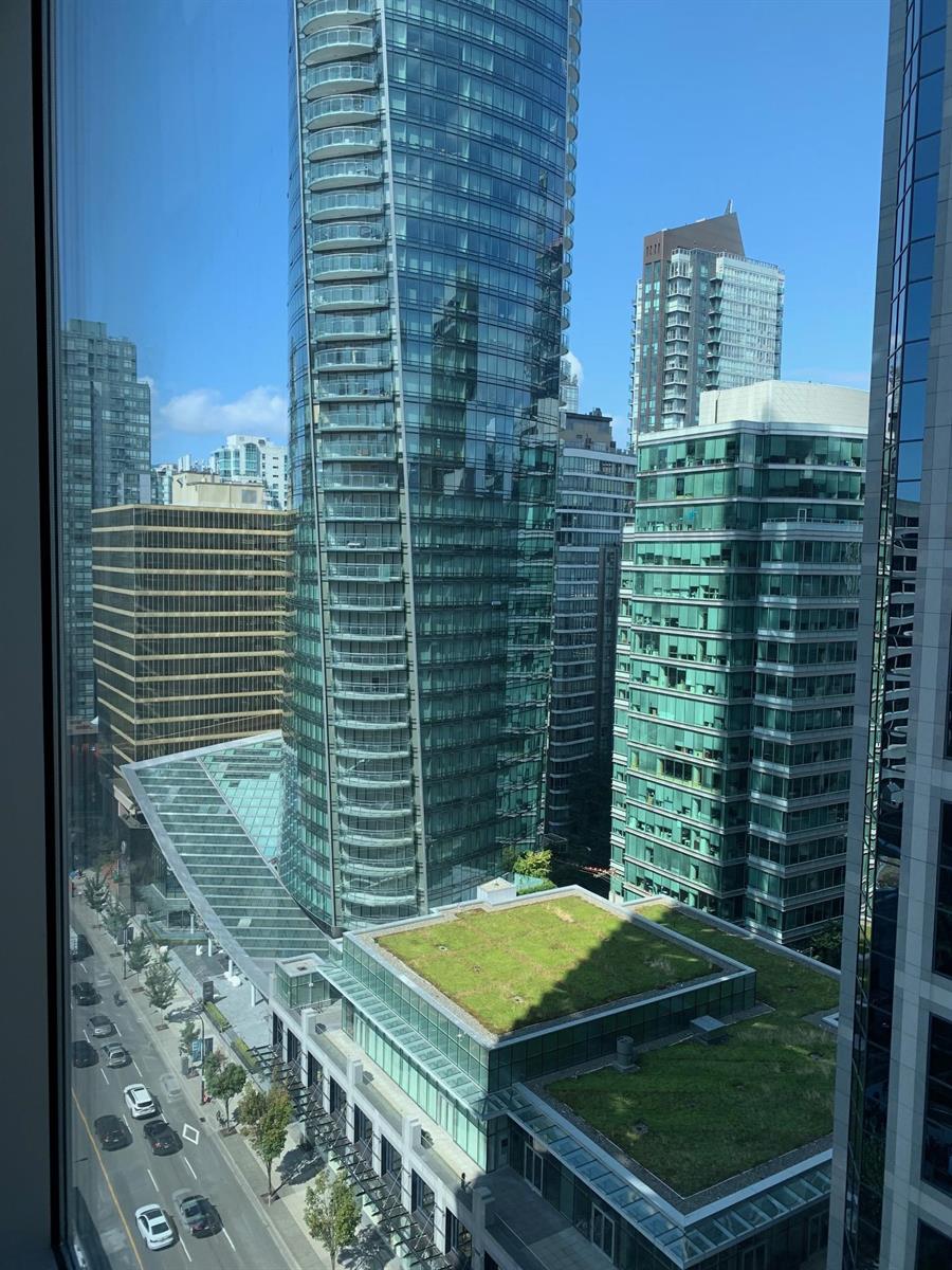 The view northeast over the rooftops, a planted terrace below and the towers beyond.