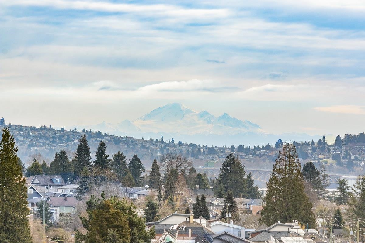 South-east over the rooftops to Mount Baker standing above the trees.