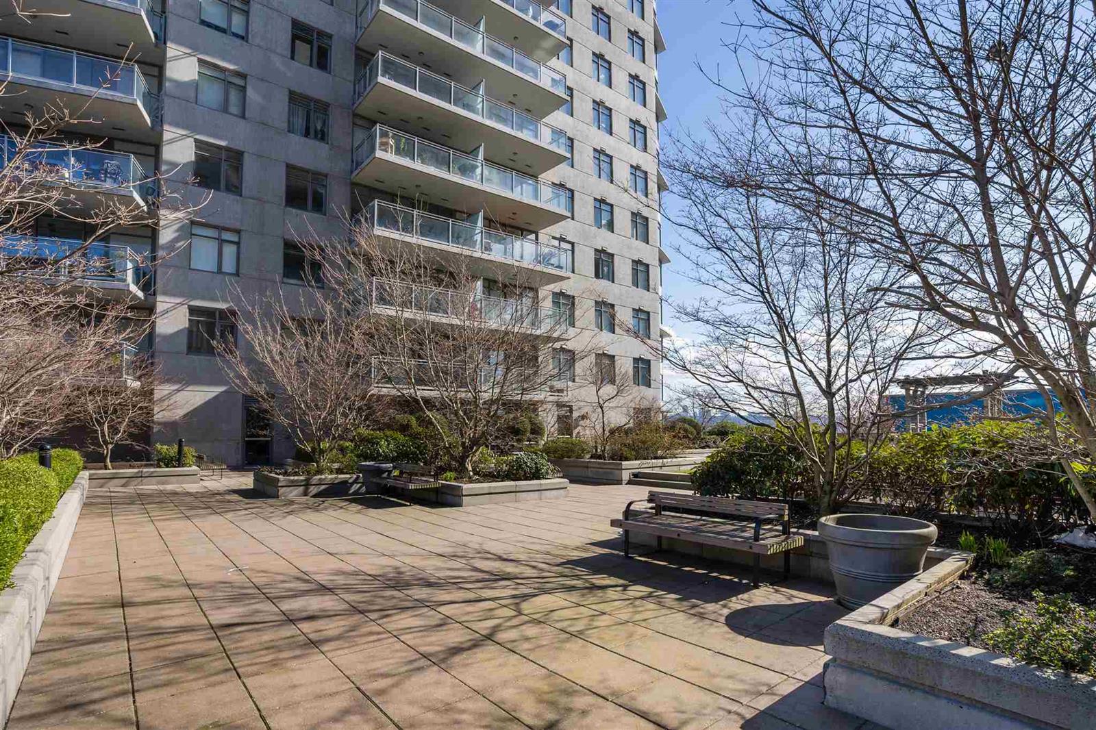 The terrace from the far end, planters and benches under the trees.