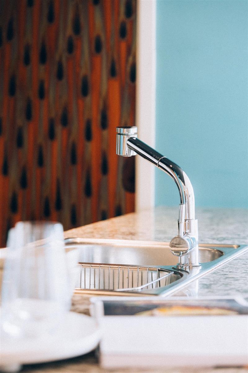 The sink and its pull-out faucet, the patterned pantry door behind.