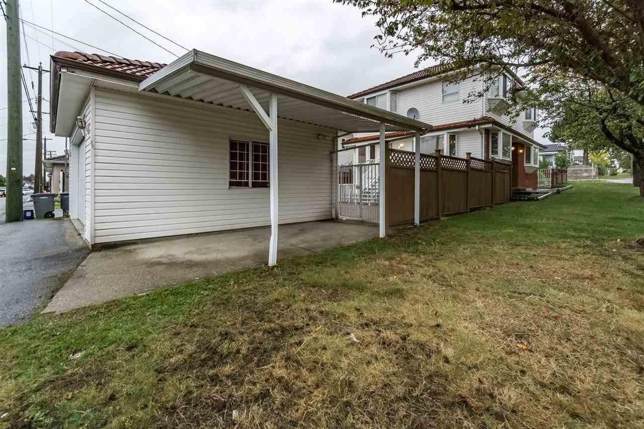 The back yard, the lawn running to the garage with the trees along the fence.