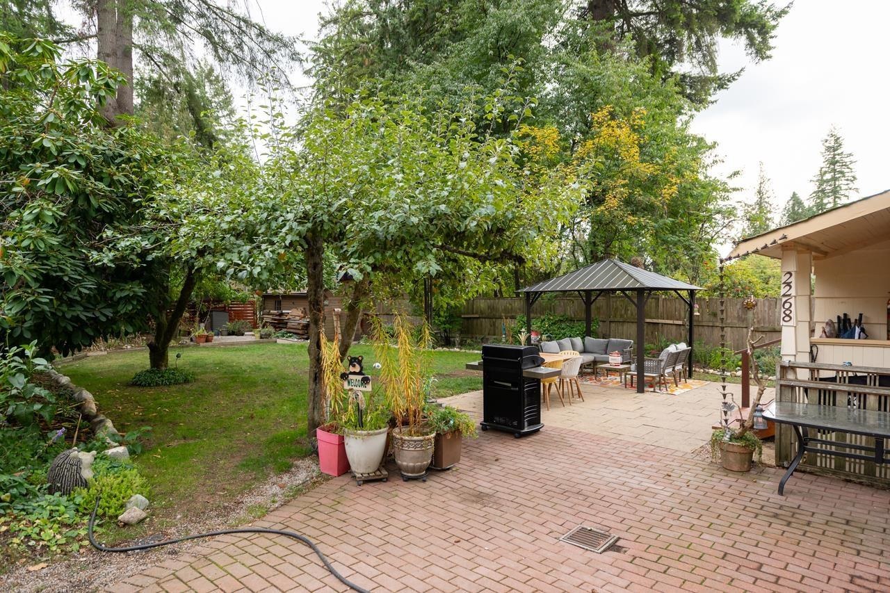 The garden looking back toward the house, fruit trees along the path and the gazebo beyond.