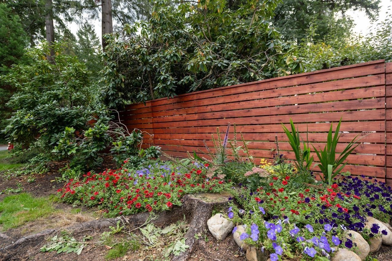 The flower bed along the back fence, planted low in front of the slatted wood.