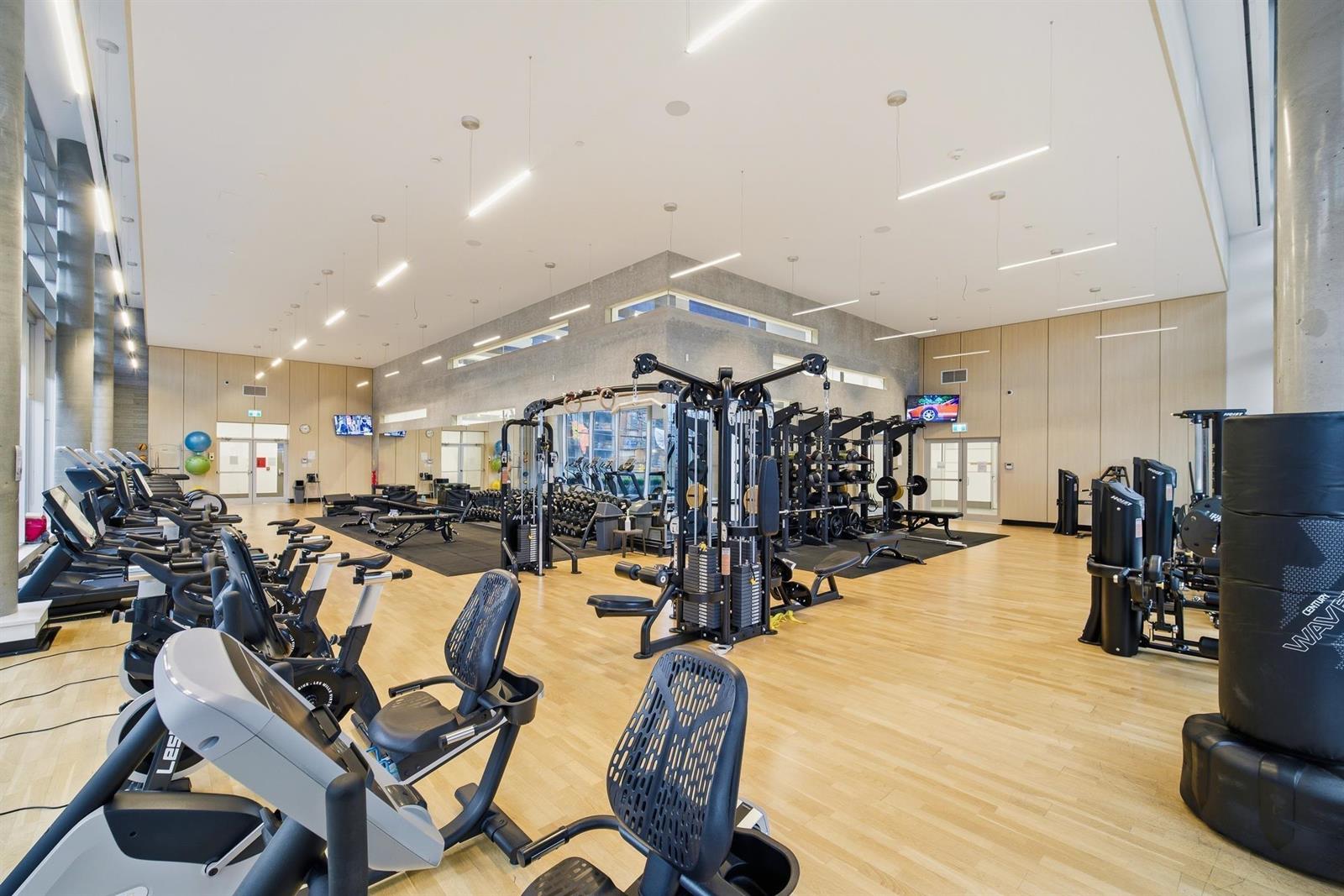 The weights side of the fitness centre.