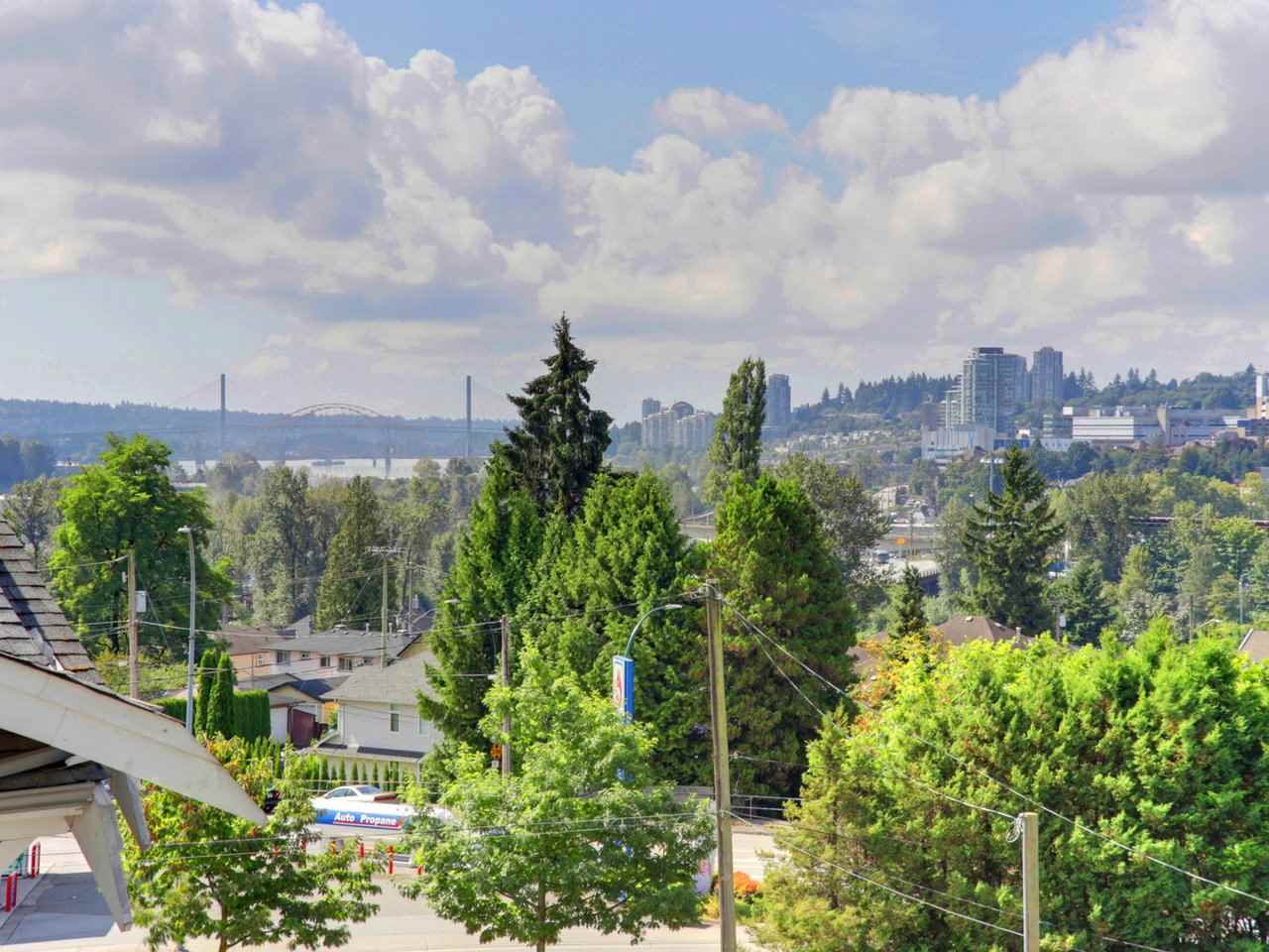 The view the other way, treetops in the foreground and the city on the ridge beyond.