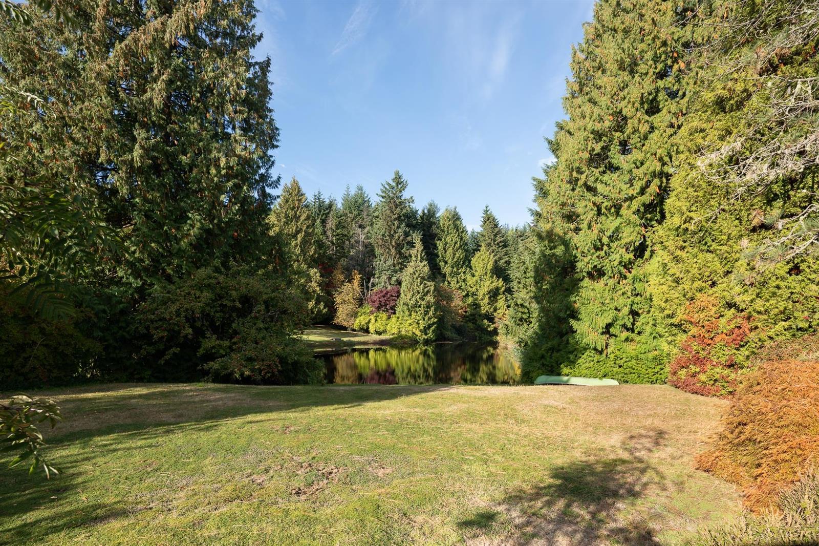 The lawn running down to the lake, evergreens along the far bank.