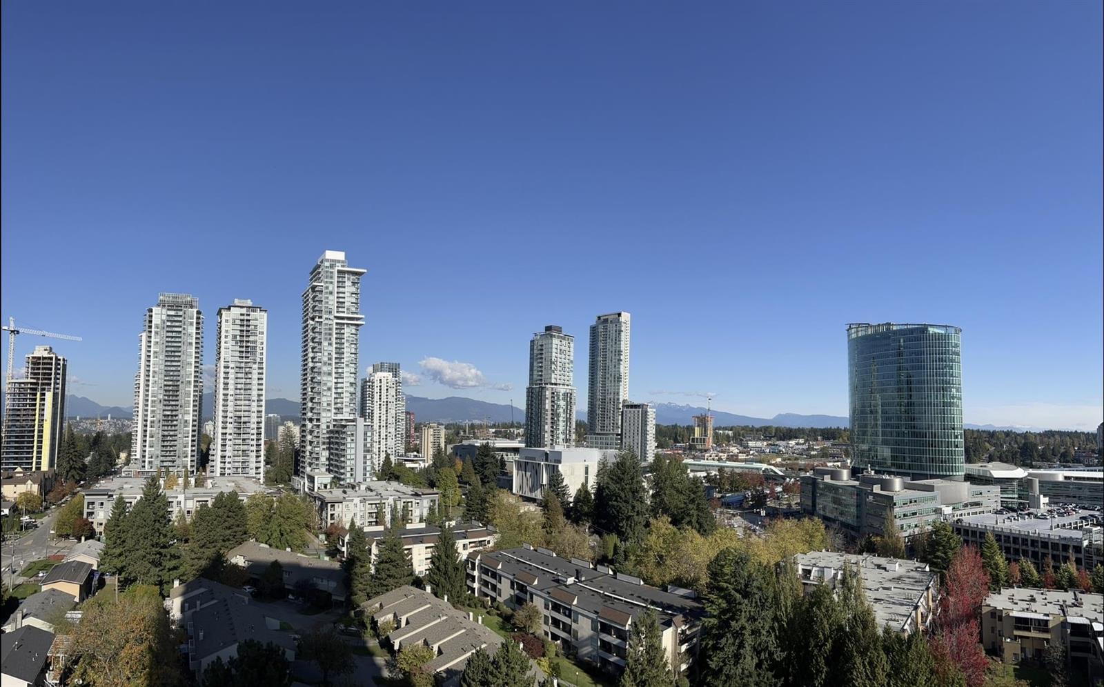 The view from the windows, over the low roofs of the neighbourhood to the towers of Surrey City Centre.
