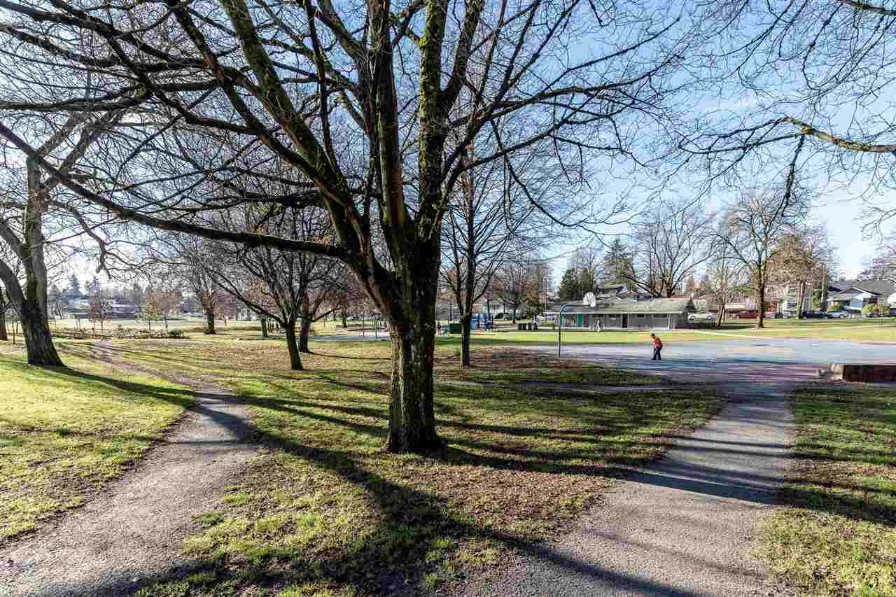 Norquay Park a block away, paths running under the trees.