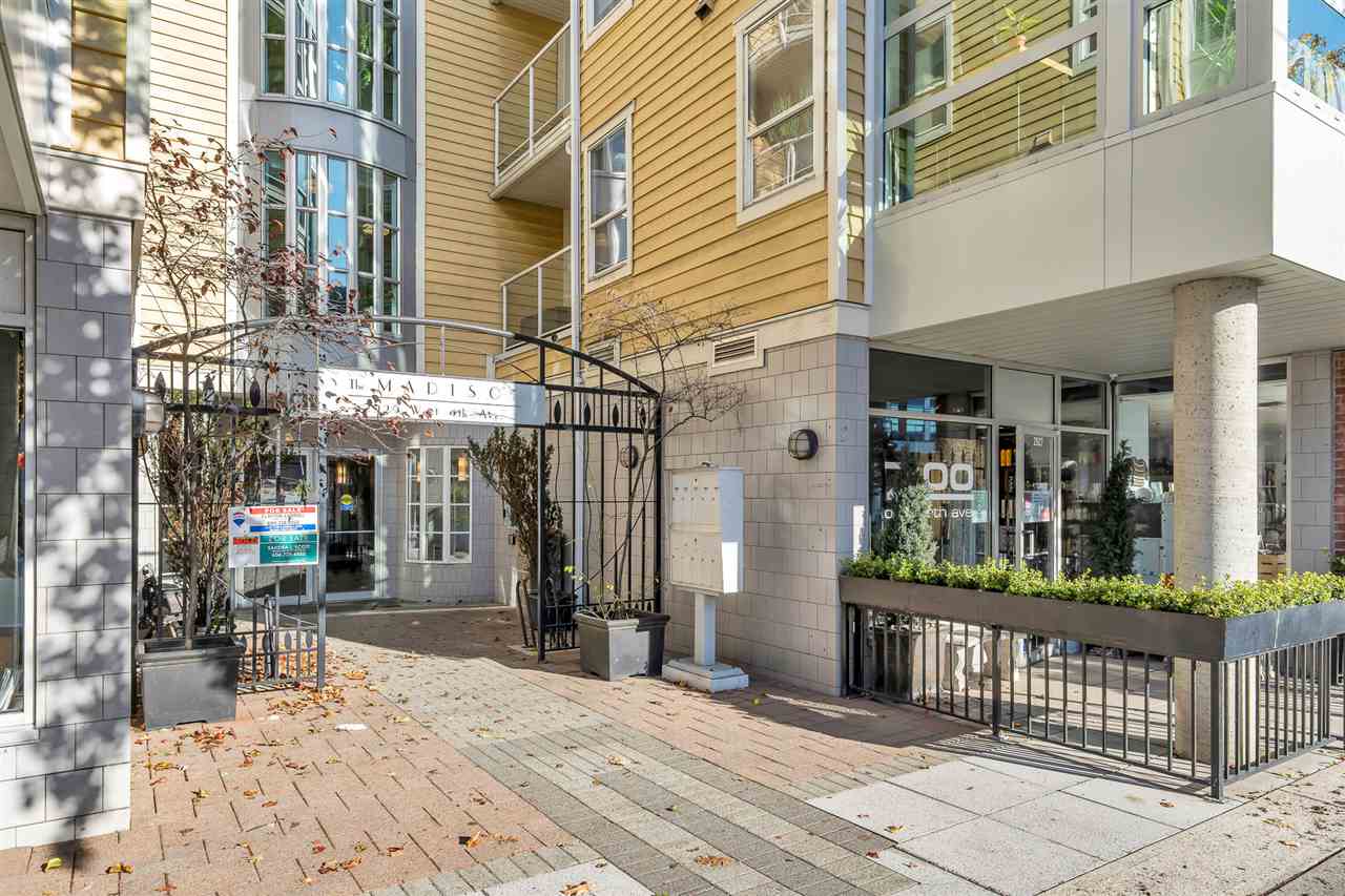 The entrance to the building from the street, planting either side of the gate.