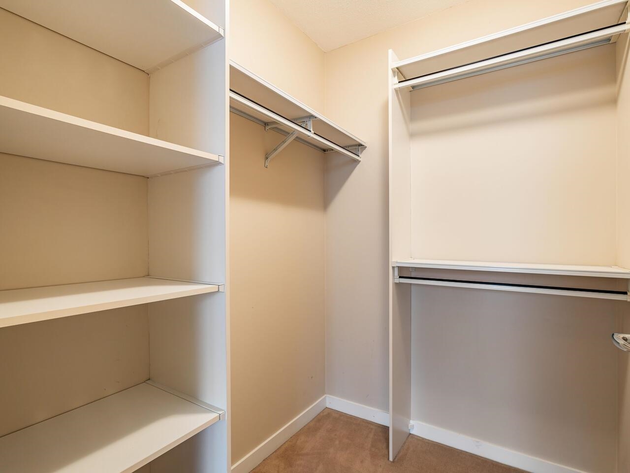 The walk-in closet, shelving down one side and hanging rails along the other.