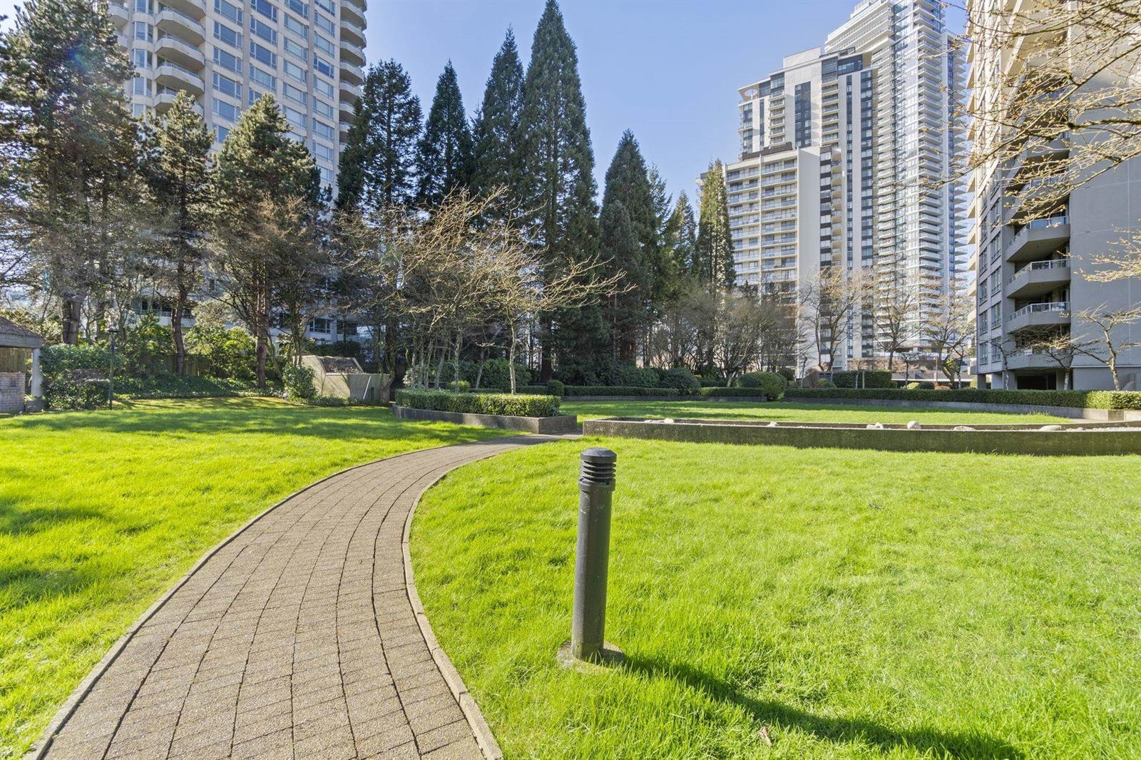 A path curving through the lawns of the grounds, cedars on one side and the towers beyond.