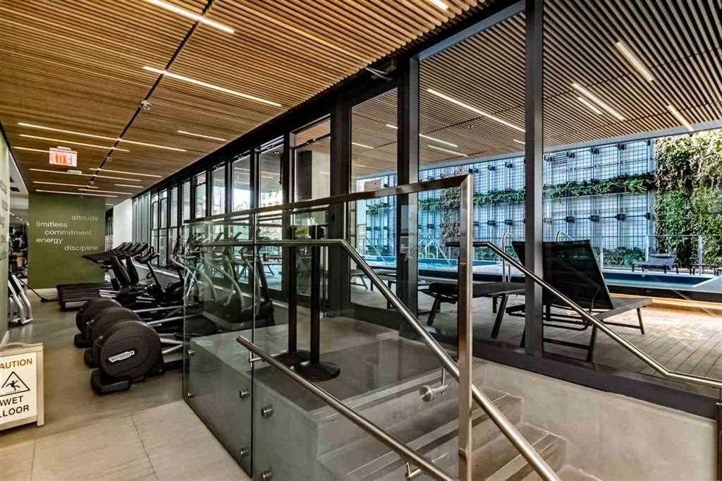 The exercise centre, the machines behind glass with the terrace planting outside.