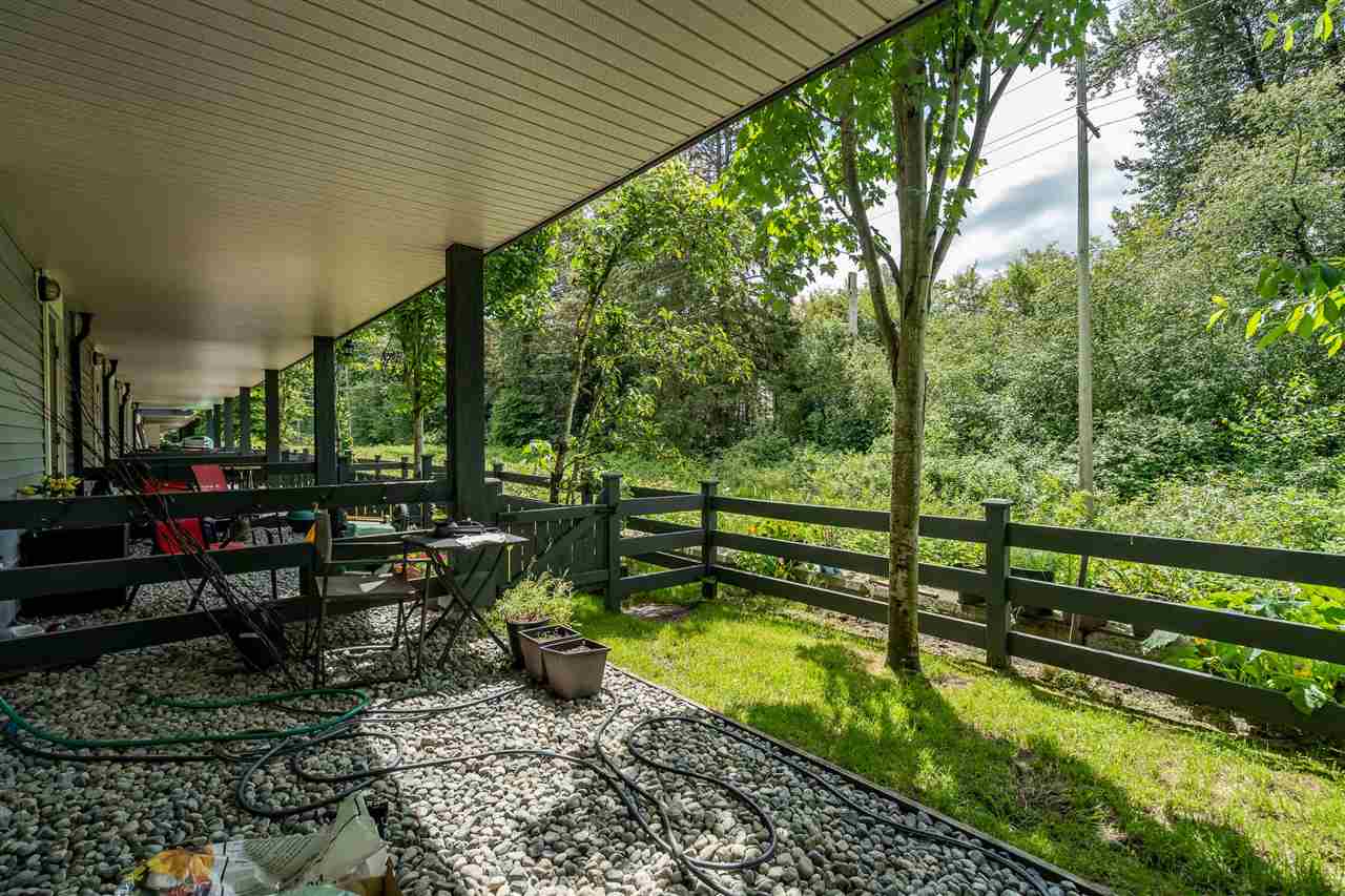 The yard from the patio, a low fence and the greenbelt beyond it.