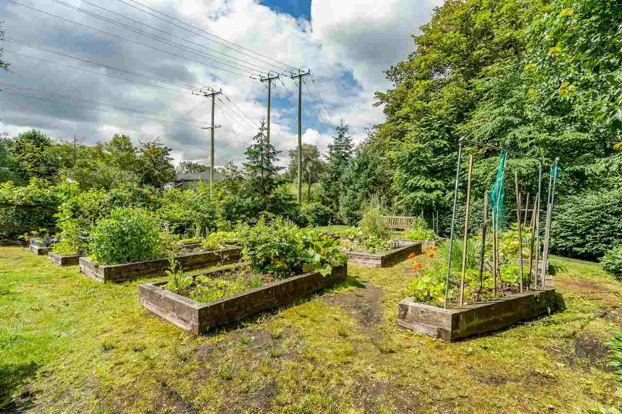 The community garden, raised beds planted through the summer.