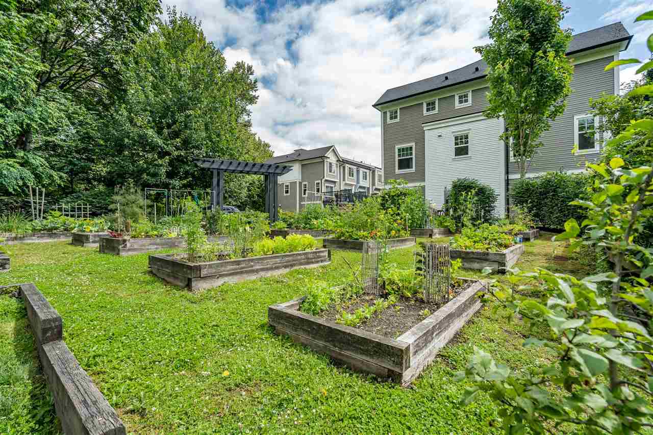 The garden from the far end, one of the homes at the edge of it.