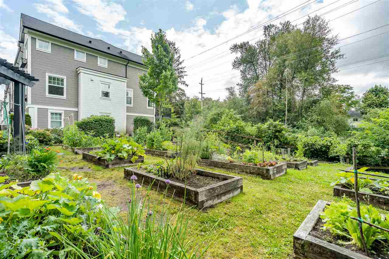 The garden and the homes beyond, the trees closing the view.