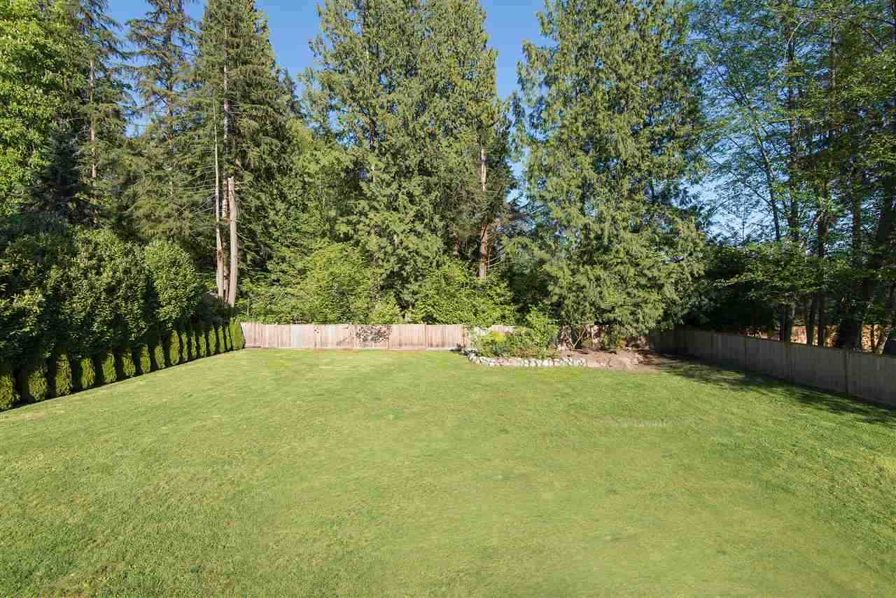 The rear lawn from the deck, flat and open with a hedge along the far fence.