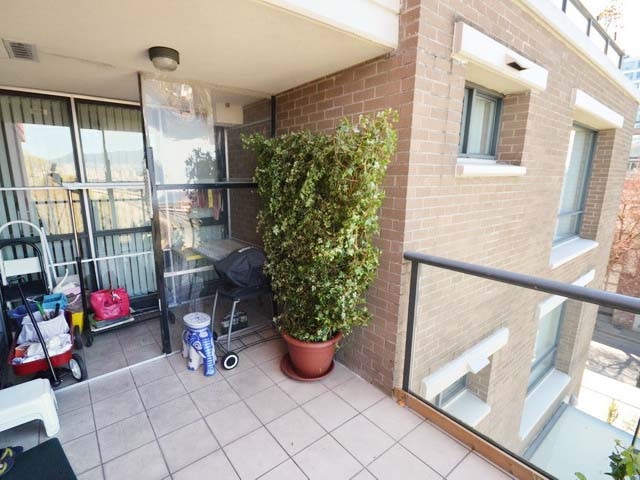 The balcony from the living room door, tiled floor with a tall hedge in a planter at the end.